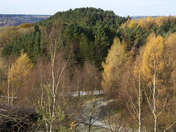 New Fancy Mine,Forest of Dean,Viewpoint