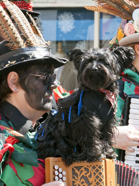Dog,Foxs Morris,Wimborne Folk Festival,Musicians