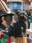 A Musical Dog Foxs Morris