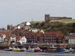 The Harbour