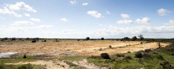 Leadenhall,Bomb Target
