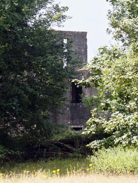 Ibsley Airfield,Control Tower,Trees