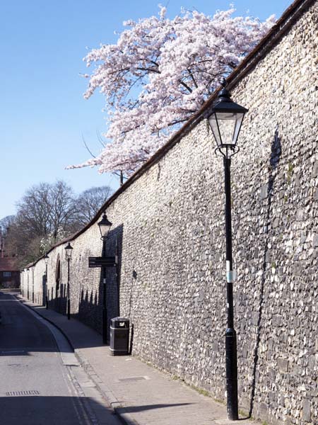 City Walls,St Swithun Street,Winchester
