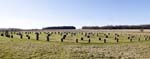 Woodhenge