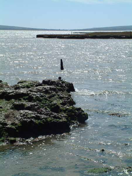 Tanners Lane,Sea,Solent