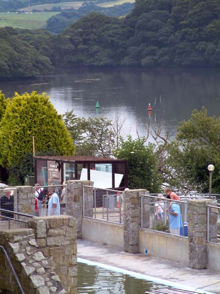 Gweek,National Seal Sanctuary,Helford,River