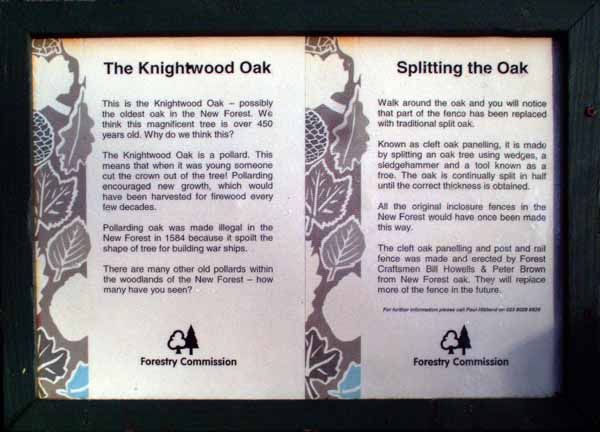 Knightwood,Oak,Sign