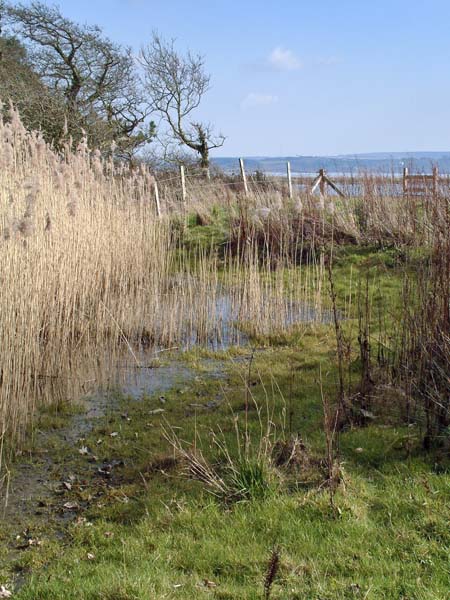 Tanner's,Tanners Lane