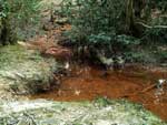 Irons Well Chalybeate Spring