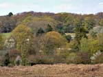 Eyeworth Lodge