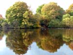 Eyeworth Pond