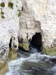 Old Harry