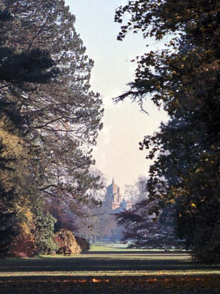 Westonbirt,Trees,House