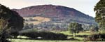 The Cloud Congleton