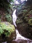 Aira Force